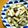 賢くんママ's cooksnap of when they made さっぱり!!きのこのレモンバジル炒め.