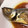 けーちゃんのママ's cooksnap of when they made アジ煮付け.