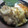 miyuki12's cooksnap of when they made 卵濃厚とろーり甘い♡至福の親子丼.