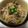 クックI6NLMD☆'s cooksnap of when they made カンタン甘辛豚丼.