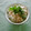 *ひろみ*'s cooksnap of when they made ひとりごはん＊なっとろろ丼.
