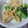 ともとがーす's cooksnap of when they made ★☆簡単パパッと☆★小松菜とあげで一皿.
