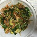 ゴーゴーいくちゃん's cooksnap of when they made 簡単副菜☆キムチと水菜とキュウリのサラダ.
