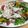 菜々桃's cooksnap of when they made 夏野菜☆冷しゃぶサラダ☆.