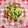 riramuhffy's cooksnap of when they made さっぱり✿大麦の地中海風サラダ.