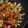 みっきい☆☆'s cooksnap of when they made ゴーヤと鶏竜田揚げ風炒め.