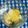 shibuchica's cooksnap of when they made 豆腐ココナッツオイルアイス.