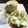 sugar1022's cooksnap of when they made 簡単発酵なし小松菜パン風、嬉しいおやつ.