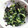 Jyohana's cooksnap of when they made 大根の葉っぱウマウマ炒め♪.