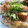 手作り★ママ's cooksnap of when they made 茄子の蒲焼丼.