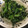ルナＰボール's cooksnap of when they made 簡単☆ほうれん草のごま和え.