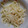 きぬきぬ２１６'s cooksnap of when they made もやしとちくわのマヨマスタード和え.