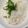 ☆☆なり☆☆'s cooksnap of when they made 蟹缶ごはん.