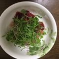 Oramura's cooksnap of when they made まぐろとパクチーの和え物.