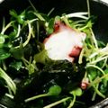 ゆーちゃん？'s cooksnap of when they made 簡単☆タコわかめ貝割れのマリネ風サラダ.