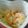 新米ちぃーママ's cooksnap of when they made 離乳食・トマトリゾット風.