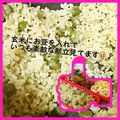 ミラクルぷっちょ's cooksnap of when they made 圧力鍋使用☆粉寒天入り.玄米ご飯.