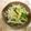 ☆Rokko☆'s cooksnap of when they made 大根と水菜のサラダ～青じそ風味♪.