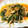 kosyo77's cooksnap of when they made ニラともやしのキムチ炒め.