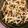 たらぴとりん's cooksnap of when they made しめじとモヤシの胡麻油炒め.