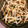 たらぴとりん's cooksnap of when they made しめじとモヤシの胡麻油炒め.