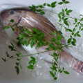 クレイプメートル's cooksnap of when they made 真鯛の捌き方.