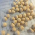 ようよぽん's cooksnap of when they made アレルギー対応！簡単米粉ボーロ☆クッキー.