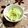 ぽちこ（マイ）'s cooksnap of when they made 5分deキャベツのシャキシャキおつまみ☆.