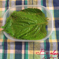 こいぃおちゃ's cooksnap of when they made えごまの葉の醤油漬け.
