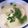 かずは☆彡's cooksnap of when they made 簡単！美味！鯛のあらde白湯スープ.