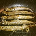 ベヂ☆'s cooksnap of when they made ししゃものにんにく酒蒸し.