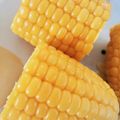 さくママ222's cooksnap of when they made レンジでチン♡で甘〜いトウモロコシ.