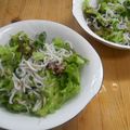 しのばぁたん's cooksnap of when they made バタビアレタスとしらす干しのサラダ.