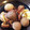 みれしゅん's cooksnap of when they made 忙しい時にも！イカと里芋の煮っ転がし.