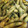 pink0922's cooksnap of when they made 枝豆の茹で方.
