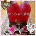 なっちゃん散歩's cooksnap of when they made 爽やか☆青しそジュース.