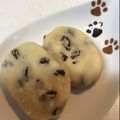 ねこnoしっぽ's cooksnap of when they made ココナッツオイルでおからパン.