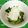 バウンド's cooksnap of when they made つるむらさきの卸しらす.