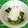 バウンド's cooksnap of when they made つるむらさきの卸しらす.
