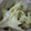 ぷくぅぅ's cooksnap of when they made 簡単　エリンギのチーズ焼き.