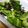 クック2BGU7G☆'s cooksnap of when they made スピード一品☆塩昆布ピーマン！.