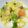 keen♪'s cooksnap of when they made 海老と白菜の豆腐あんかけ.
