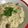 Ayming's cooksnap of when they made ホワイトソース仕立て♪簡単チーズリゾット.
