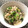 ネスター's cooksnap of when they made オクラとえのきのネバとろ中華和え.