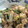 §§§§'s cooksnap of when they made 簡単☆鶏ももとネギの塩炒め.