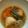 ＡＫＩぴ's cooksnap of when they made 炊飯器で簡単、肉じゃが.