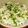 はるほにょ☆'s cooksnap of when they made 旅行の友の豆腐ぶっかけどんぶり.