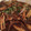 クックVI6LOP☆'s cooksnap of when they made 酒の肴に、簡単イカワタ炒め.