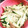 kana☆1203's cooksnap of when they made みょうがと胡瓜のあっさり和え物.