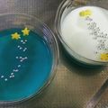 あんころ0212's cooksnap of when they made ☆七夕☆レアチーズ＆ゼリーで二層ケーキ☆.